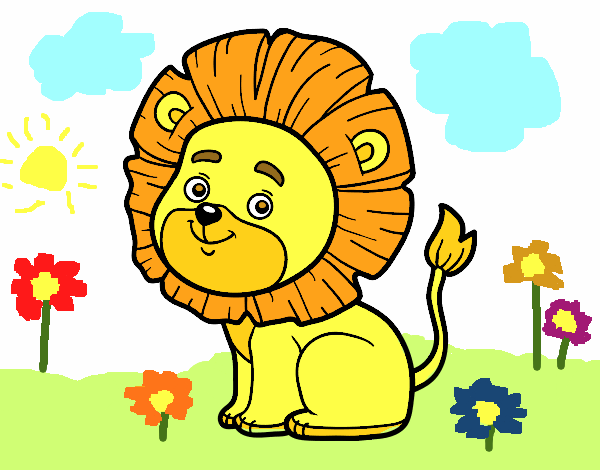 leone-giovane-animali-la-selva-1115819